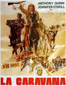 Караваны