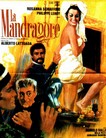 Мандрагора